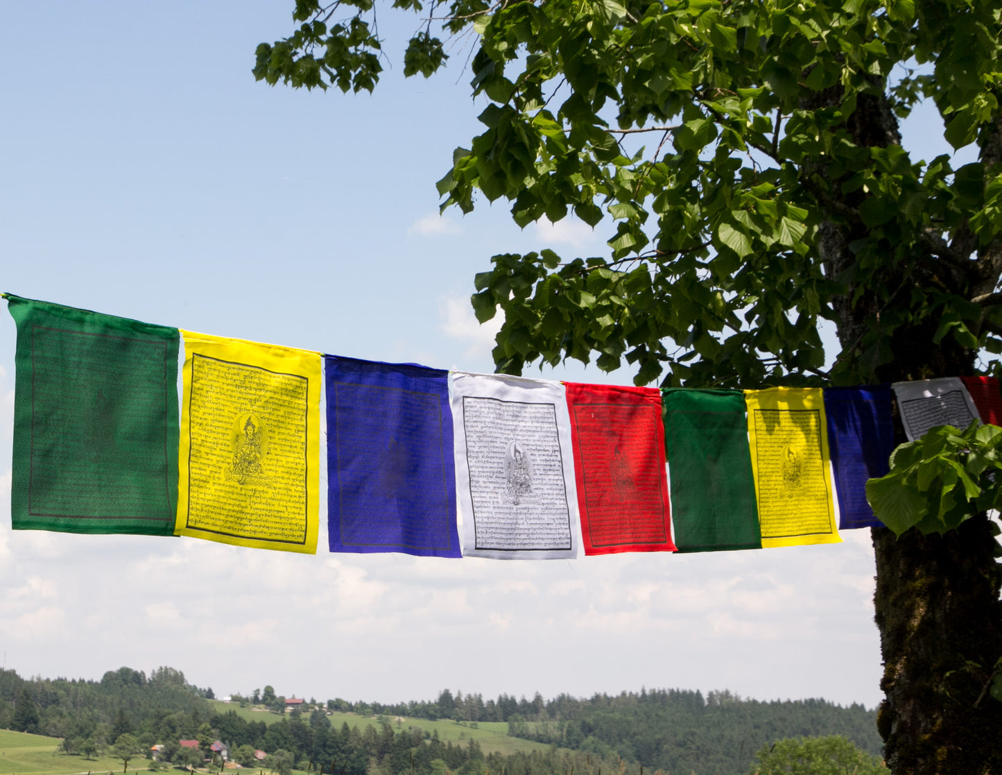 Large 21 Praises to Tara Prayer Flag, 32x34cm, 8.2m.