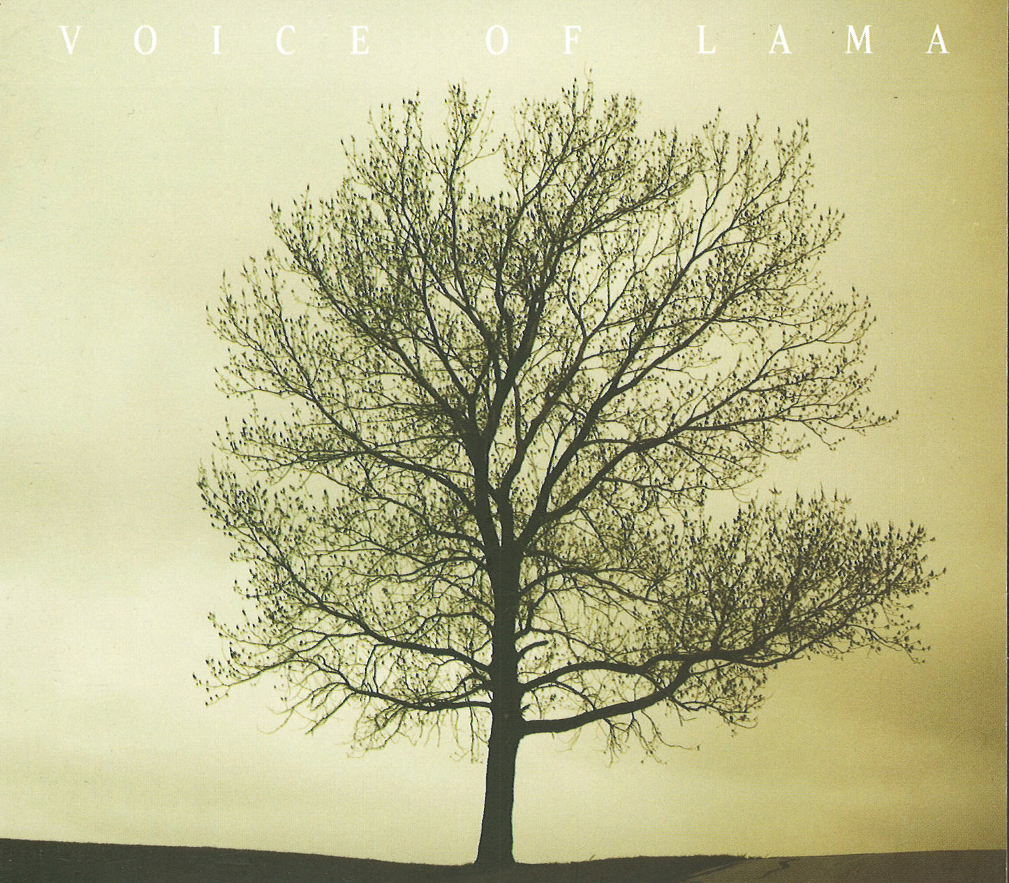 Voice of Lama CD