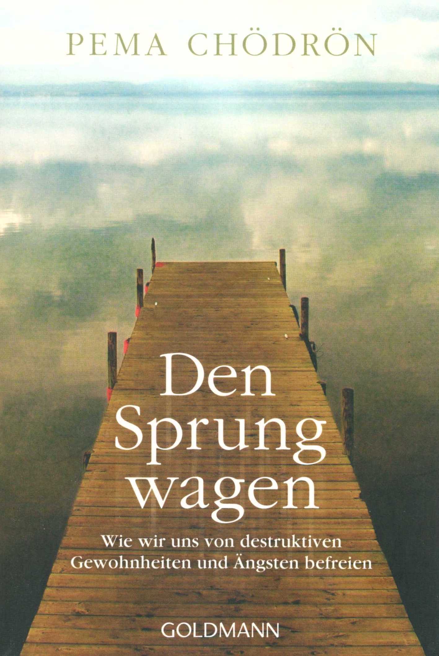 Den Sprung Wagen