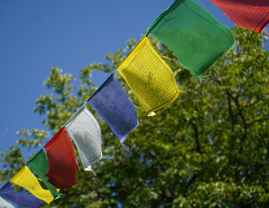 Large Windhorse Prayer Flags, 33x33cm, 8.5m, Multi