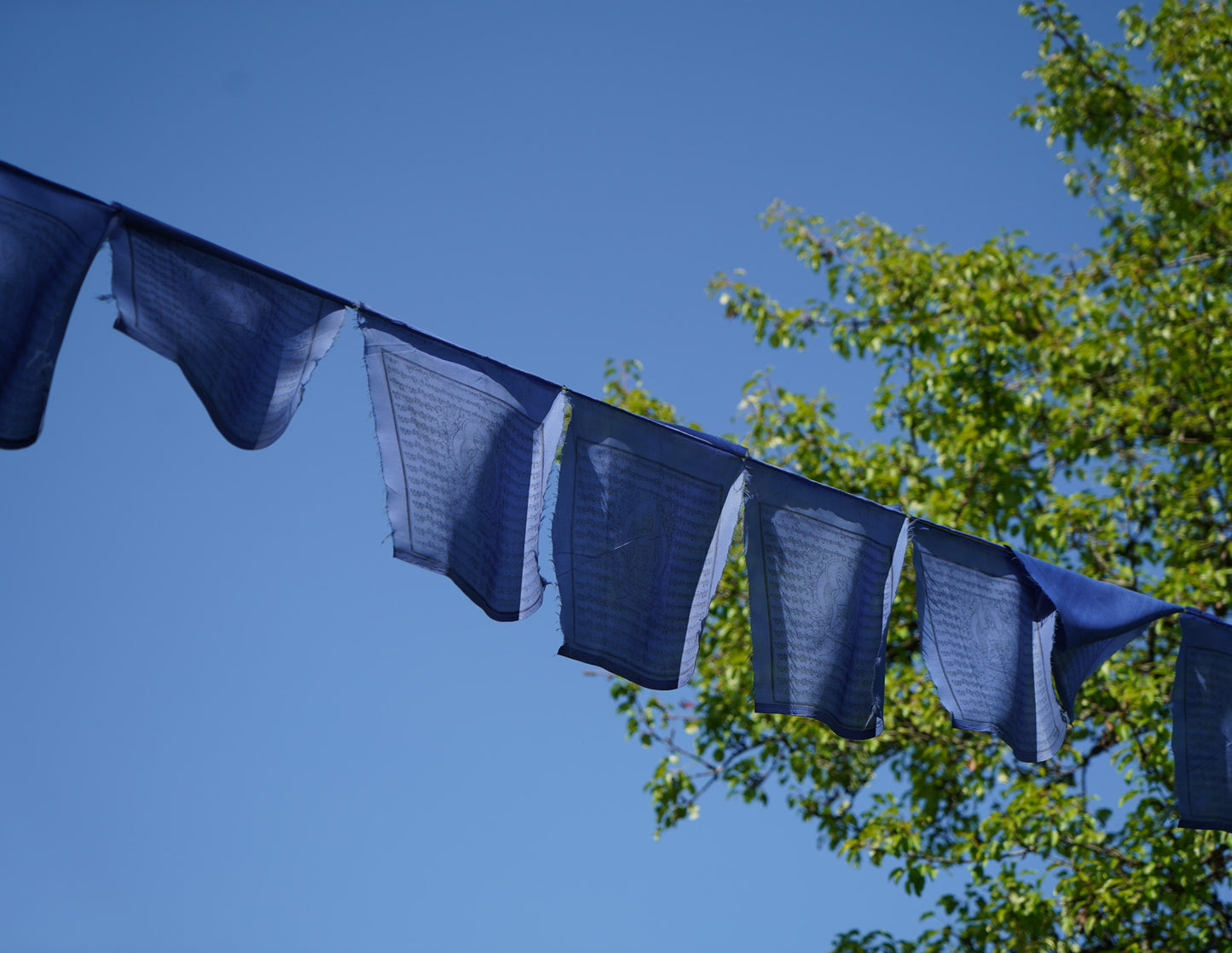 Large Medicine Buddha Prayer Flags, 33x33cm, 8.5m, Blue