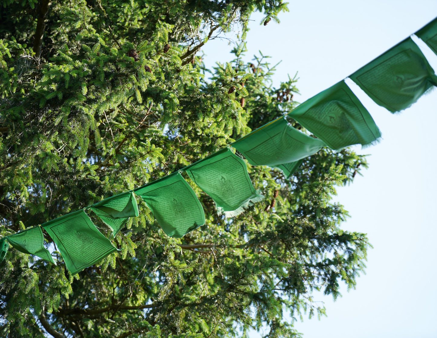 Large Green Tara Prayer Flags, 33x33cm, 9.5m