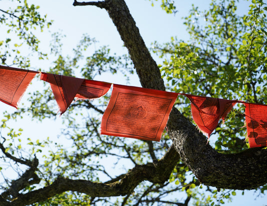 Large Amitayus 'Long Life' Prayer Flags, 33x33cm, 7.7m