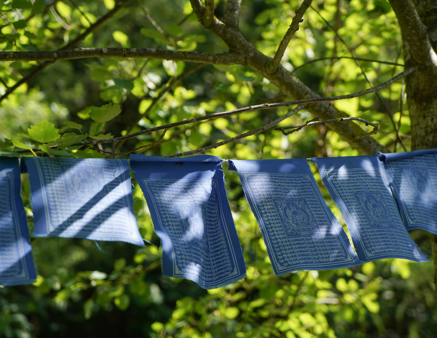 Medicine Buddha Prayer Flags, 15x20cm