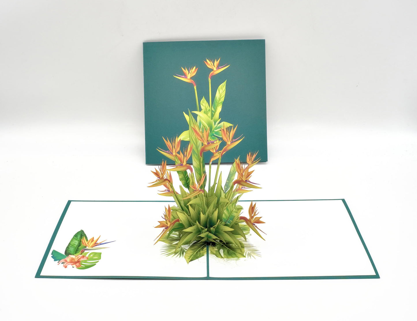 Vietnamese Pop-Up Cards