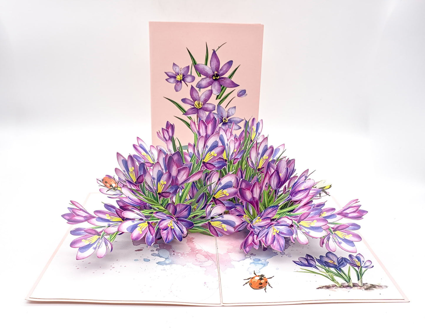 Vietnamese Pop-Up Cards