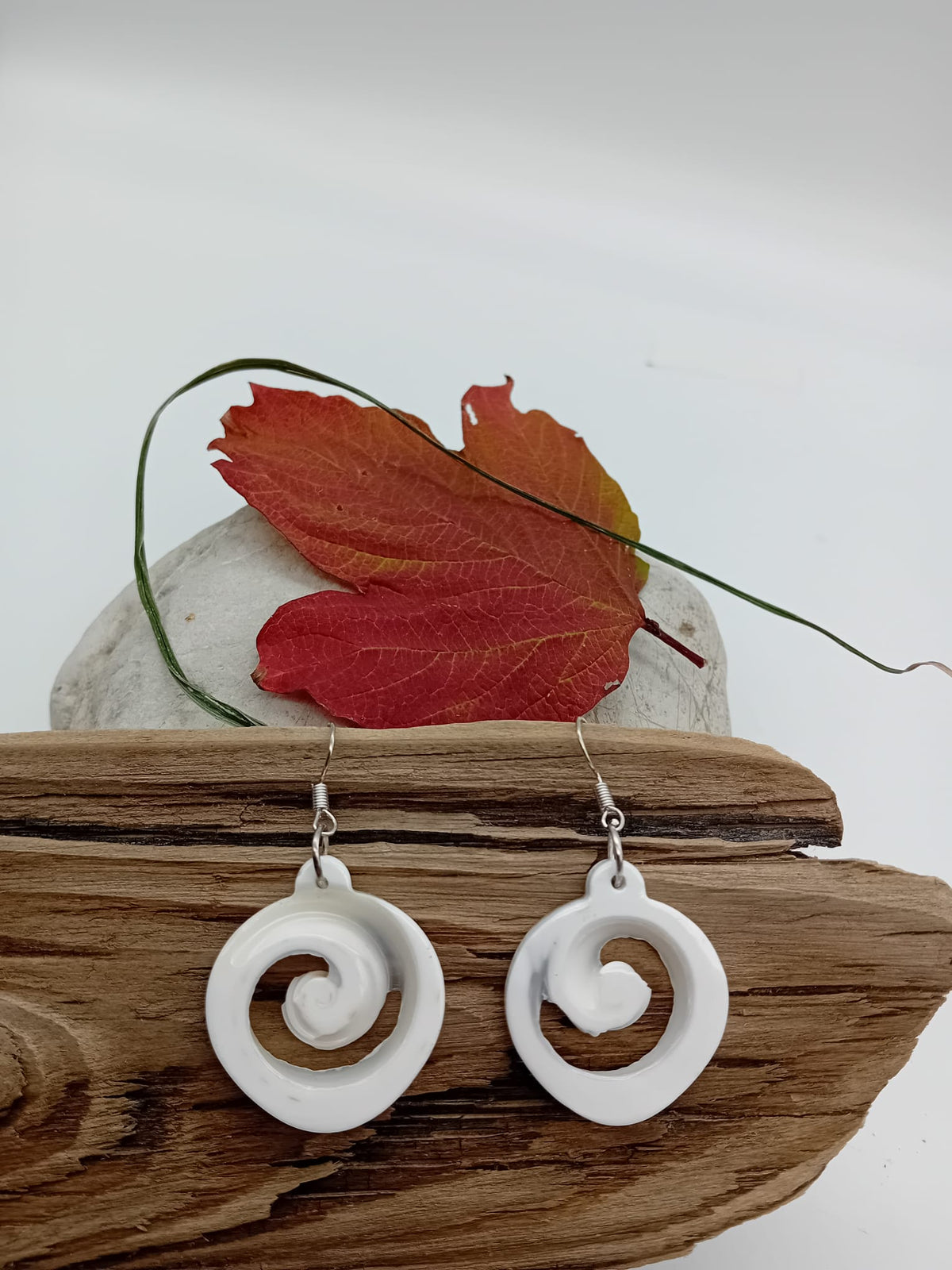 Nakpa/Nakma Sea Shell earrings 2