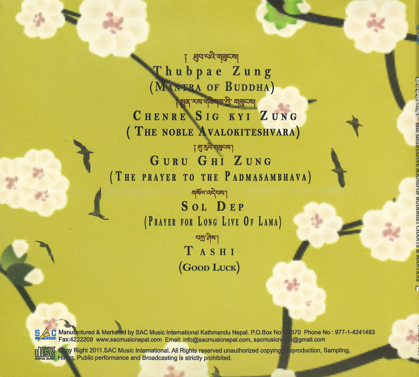 Buddhistische Lieder 2 CD