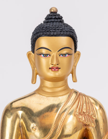 Buda de la Medicina VI
