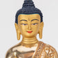 Medicine Buddha V