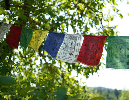 Banderas de oración de larga vida 'Tsering Nam Druk', 15x20cm