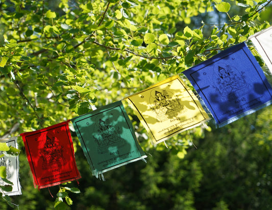Banderas de oración Chenrezig de cuatro brazos, 20x20cm, multicolor
