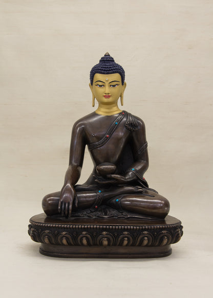 Shakyamuni Statue IX